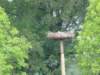 HWK 2012 267_small.jpg
